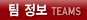 팀 정보